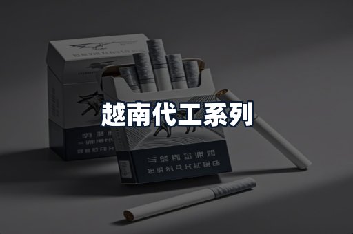 越南代工系列
